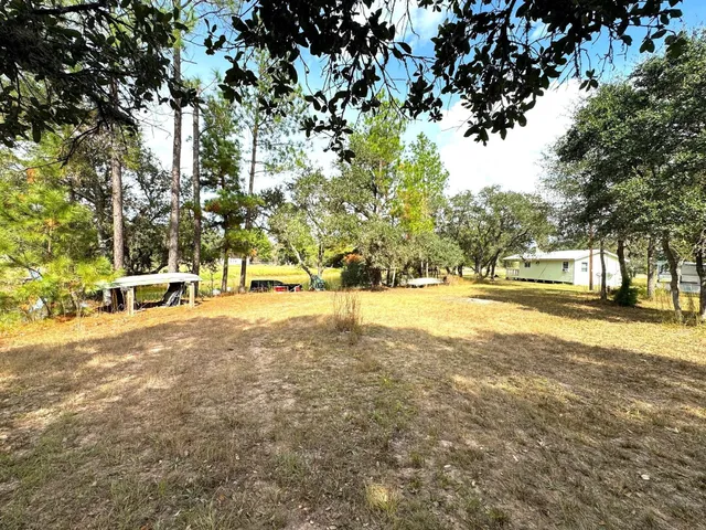 a view of yard with trees