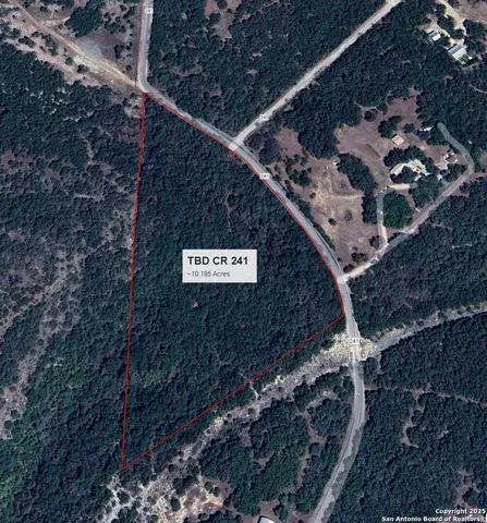 a view of a backyard with plants