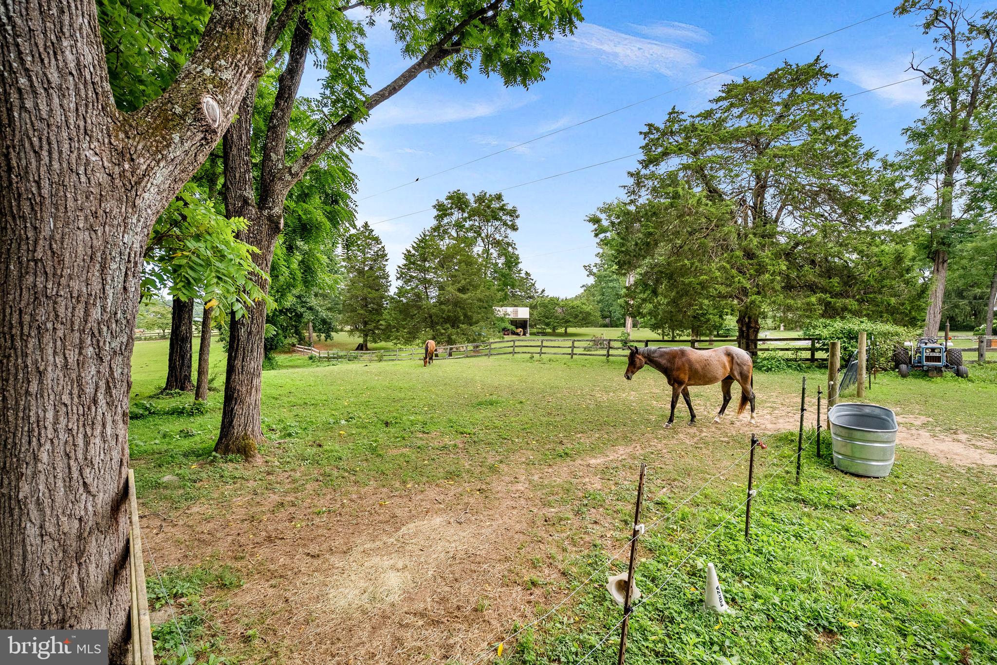 1263 Frogtown Road Bluemont, VA 20135 - Photo 55 of 72