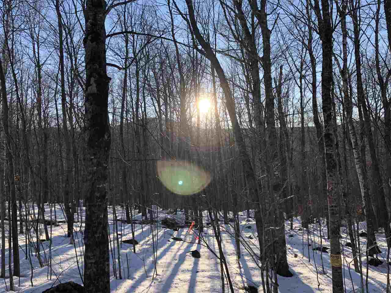 38 Eagle Mountain Road Jackson, NH 03846 - Photo 1 of 14 Gallery Image 1