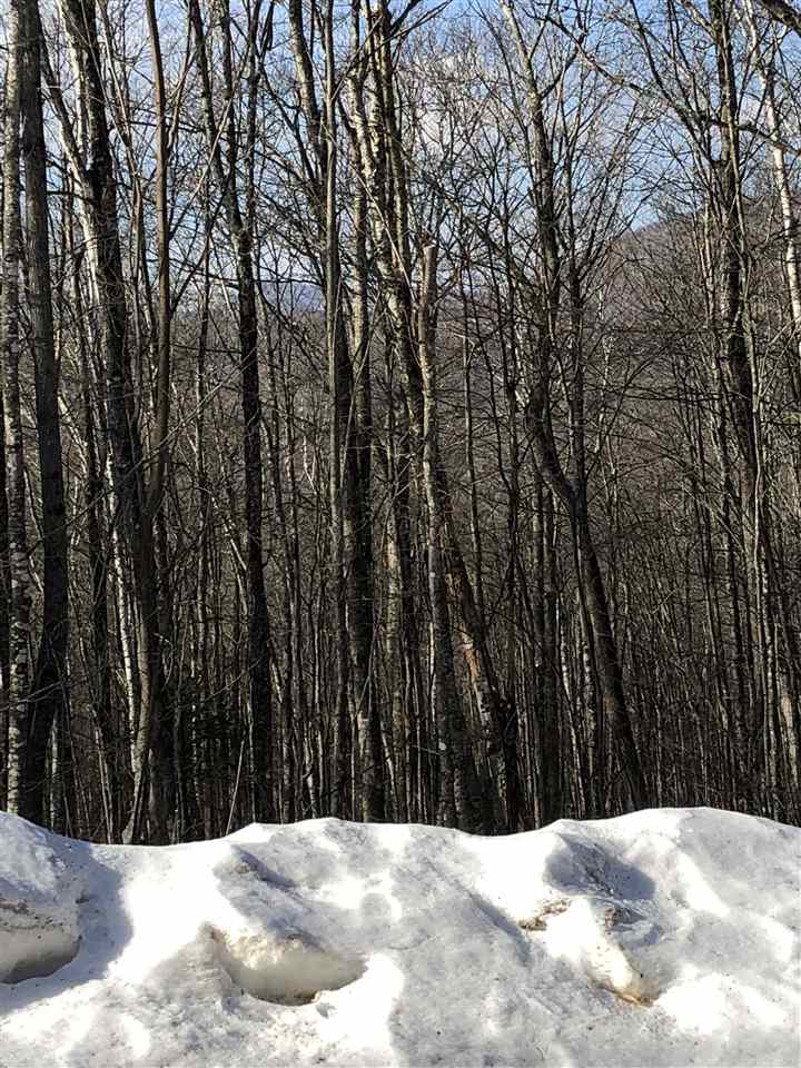 38 Eagle Mountain Road Jackson, NH 03846 - Photo 11 of 14 Gallery Image 11