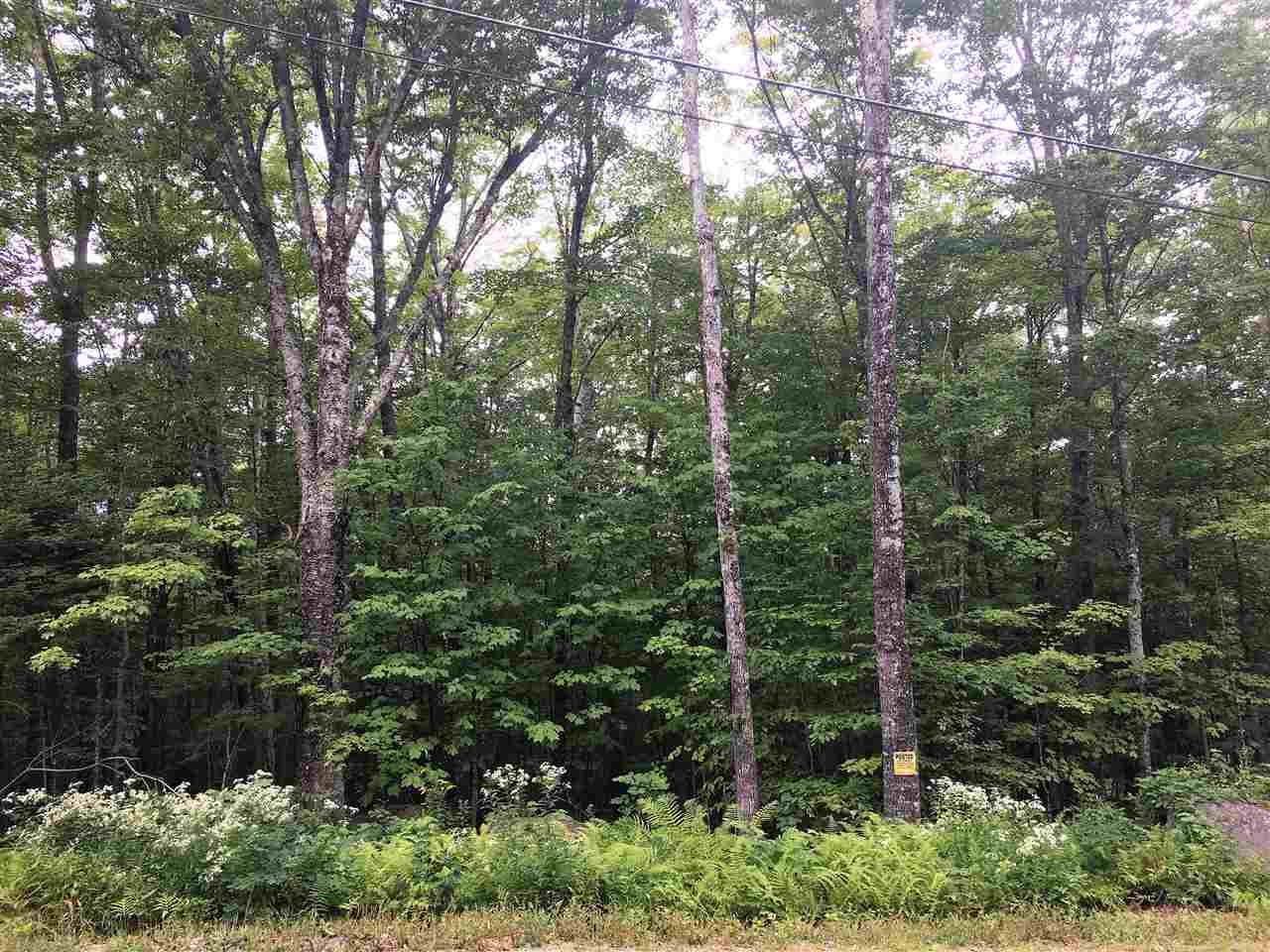 38 Eagle Mountain Road Jackson, NH 03846 - Photo 3 of 14 Gallery Image 3