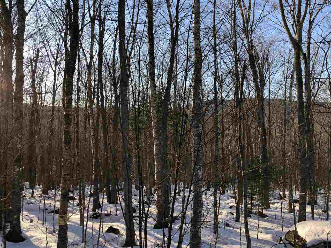 38 Eagle Mountain Road Jackson, NH 03846 - Photo 4 of 14 Gallery Image 4