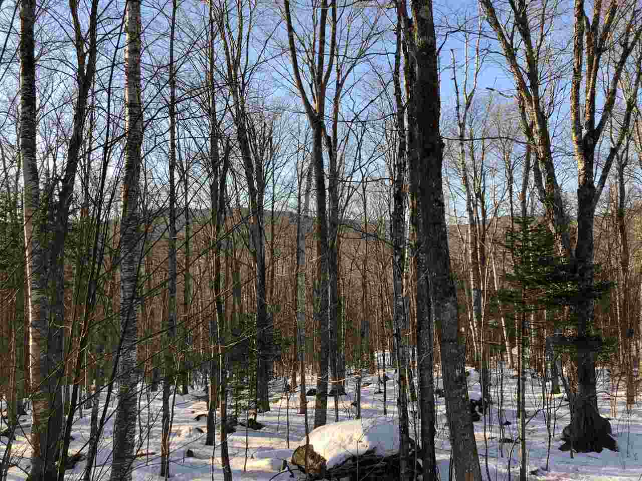 38 Eagle Mountain Road Jackson, NH 03846 - Photo 5 of 14 Gallery Image 5