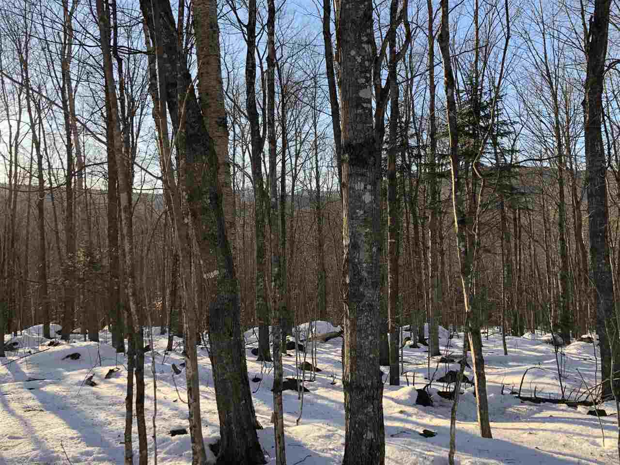 38 Eagle Mountain Road Jackson, NH 03846 - Photo 6 of 14 Gallery Image 6