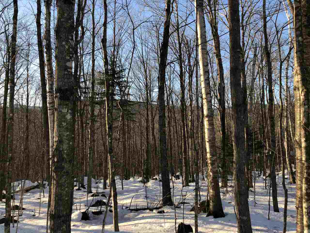 38 Eagle Mountain Road Jackson, NH 03846 - Photo 7 of 14 Gallery Image 7