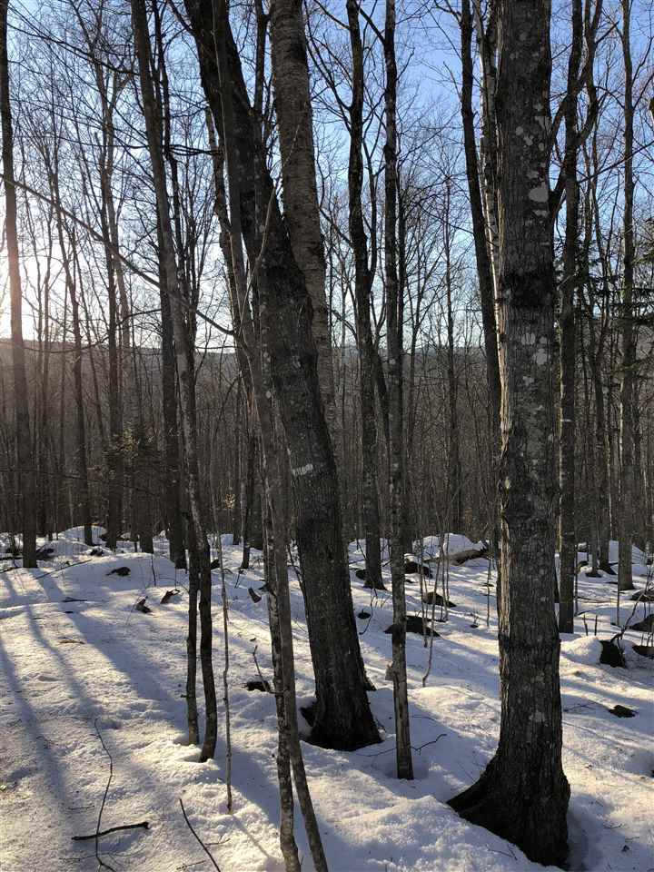 38 Eagle Mountain Road Jackson, NH 03846 - Photo 8 of 14 Gallery Image 8