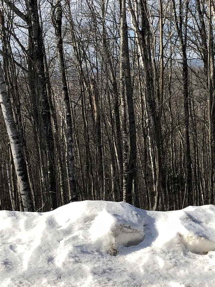 38 Eagle Mountain Road Jackson, NH 03846 - Photo 10 of 14 Gallery Image 10