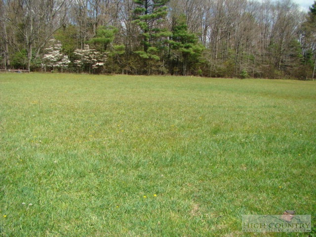 3262 Bamboo Road Boone, NC 28607 - Photo 6 of 12 a view of outdoor space and yard