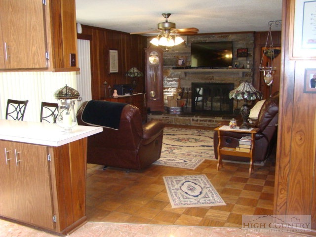 3262 Bamboo Road Boone, NC 28607 - Photo 10 of 12 a living room with furniture and a fireplace