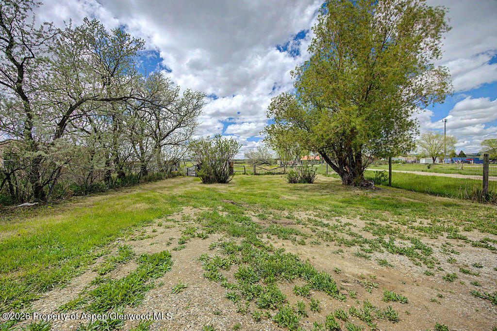 54 South Ranney Street Craig, CO 81625 - Photo 31 of 32 a view of a trees with a yard
