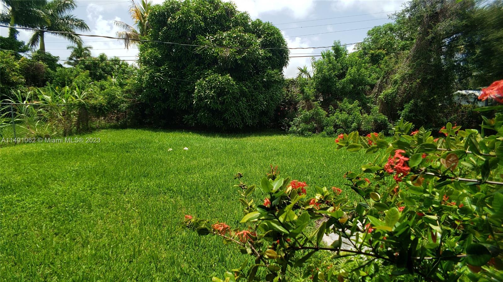 Miami-Dade County Miami, FL 33161 - Photo 27 of 31 a view of a lush green space