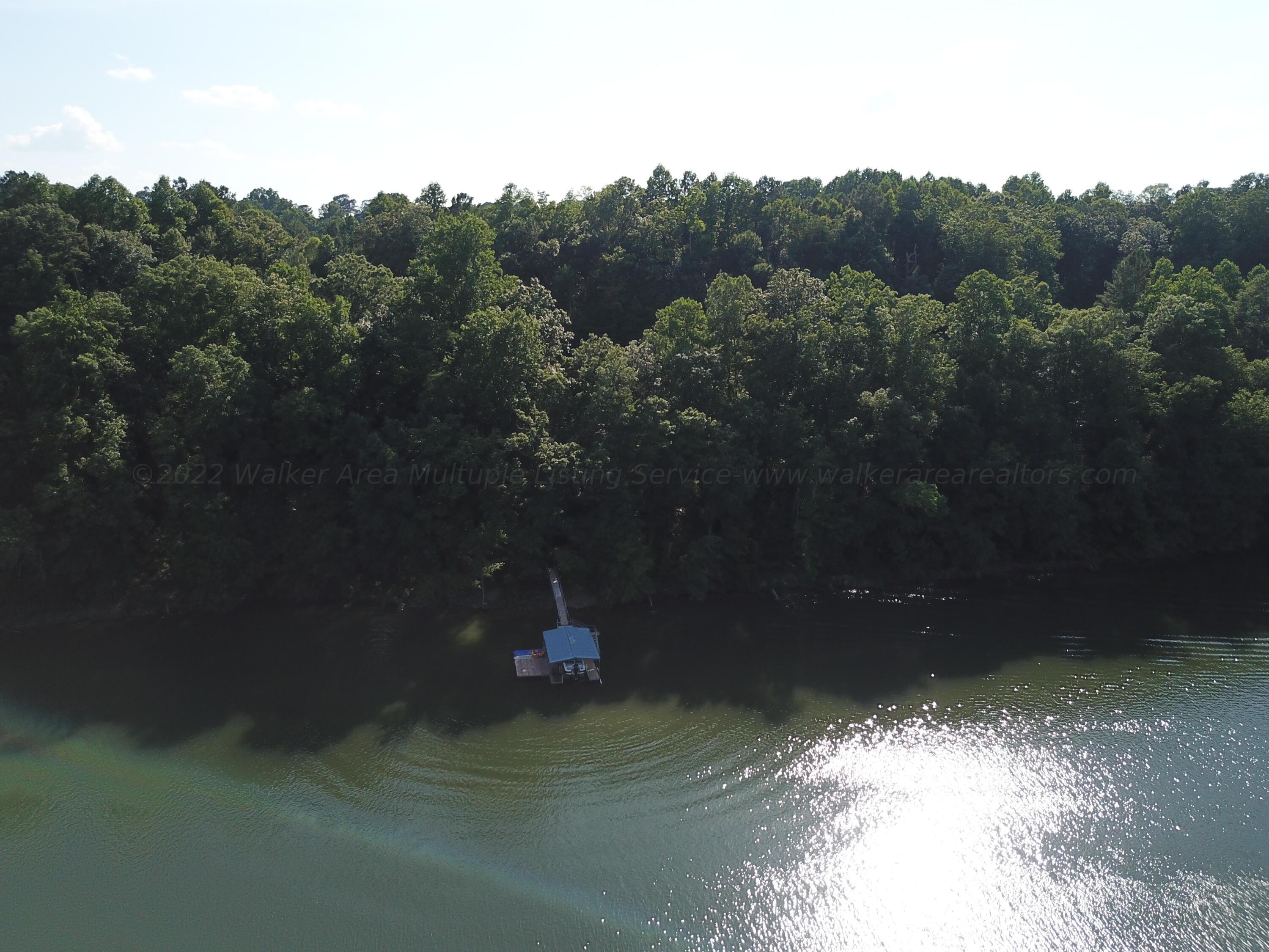 Lot 38-39 The Ridge Arley, AL 35540 - Photo 10 of 40 Gallery Image 10