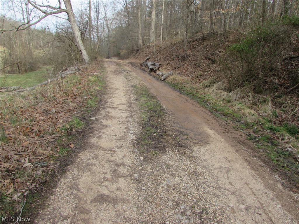 Round Stone Rd Street St. Marys, WV 26170 - Photo 14 of 14