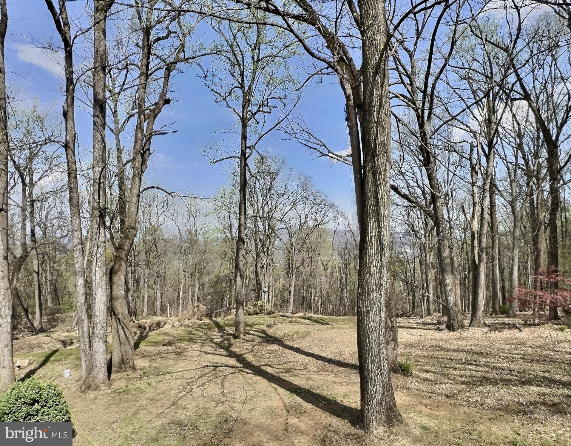 49 Pocahontas Road Front Royal, VA 22630 - Photo 26 of 34