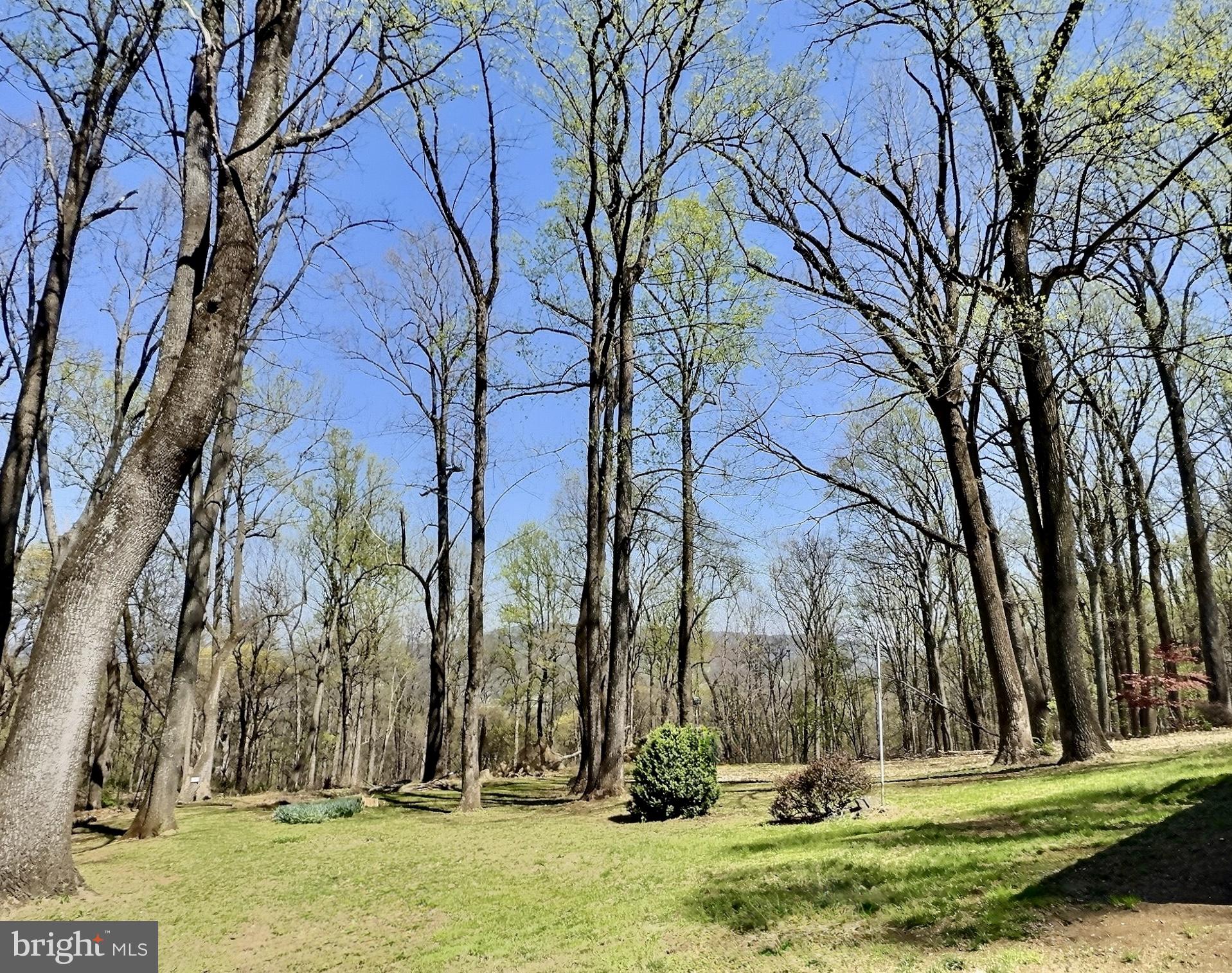 49 Pocahontas Road Front Royal, VA 22630 - Photo 29 of 34