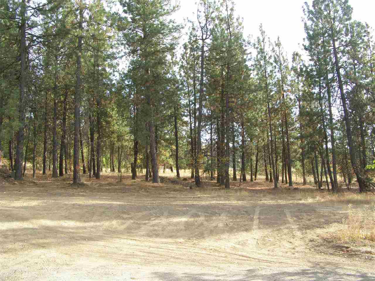 4908 North Custer Road Spokane, WA 99217 - Photo 17 of 20