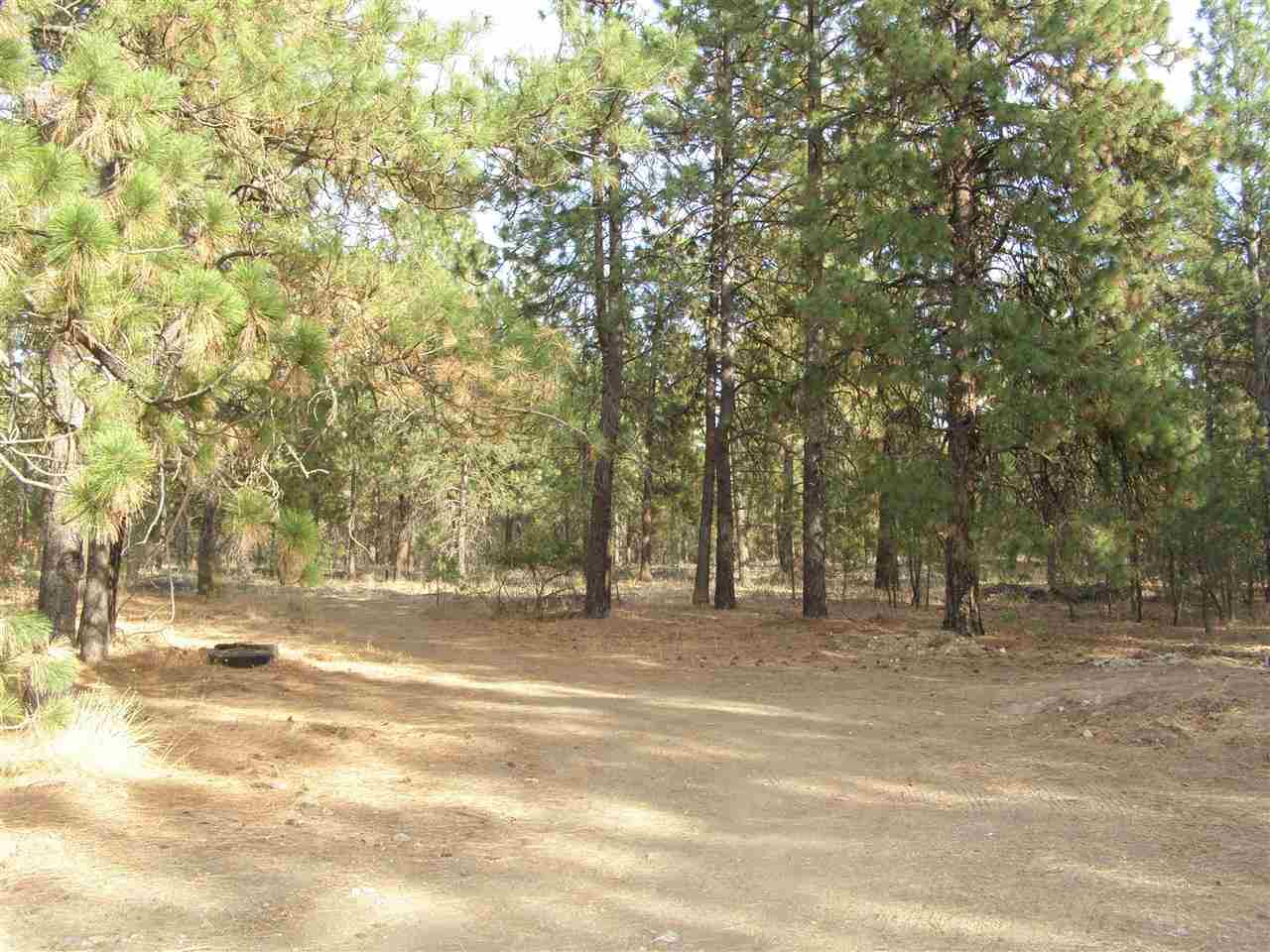 4908 North Custer Road Spokane, WA 99217 - Photo 18 of 20
