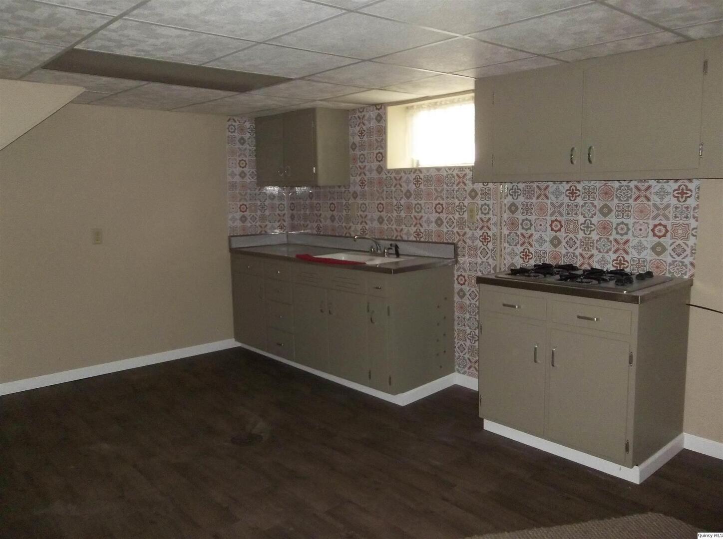 1619 Locust Street Quincy, IL 62301 - Photo 28 of 33 Gallery Image 28