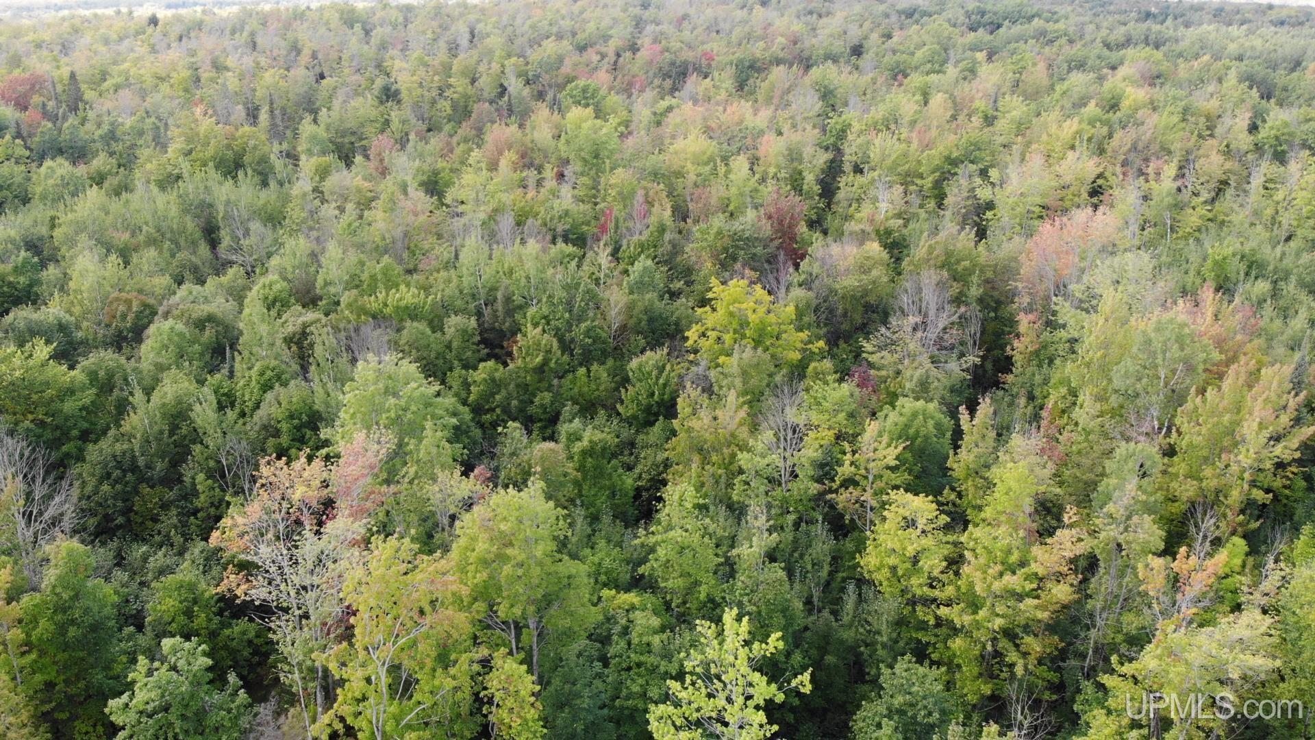 42587 Old Rink Road Toivola, MI 49965 - Photo 14 of 16 Gallery Image 14