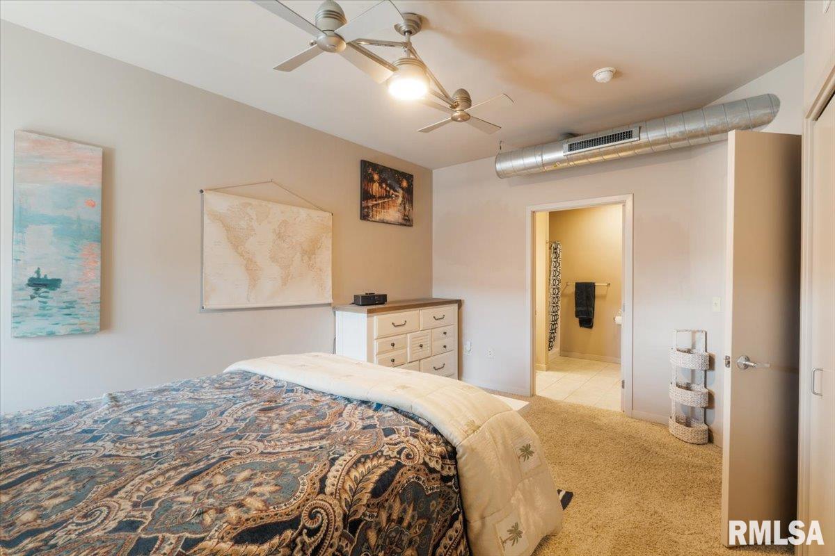 110 19th Street, Unit 311 Rock Island, IL 61201 - Photo 22 of 40