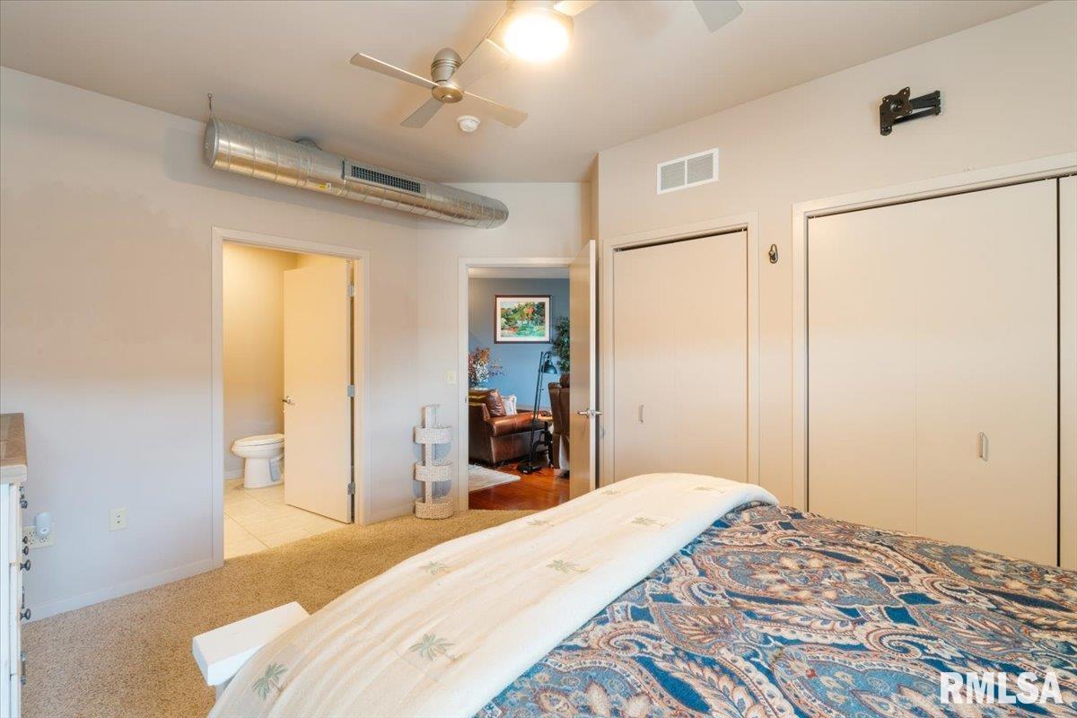 110 19th Street, Unit 311 Rock Island, IL 61201 - Photo 23 of 40