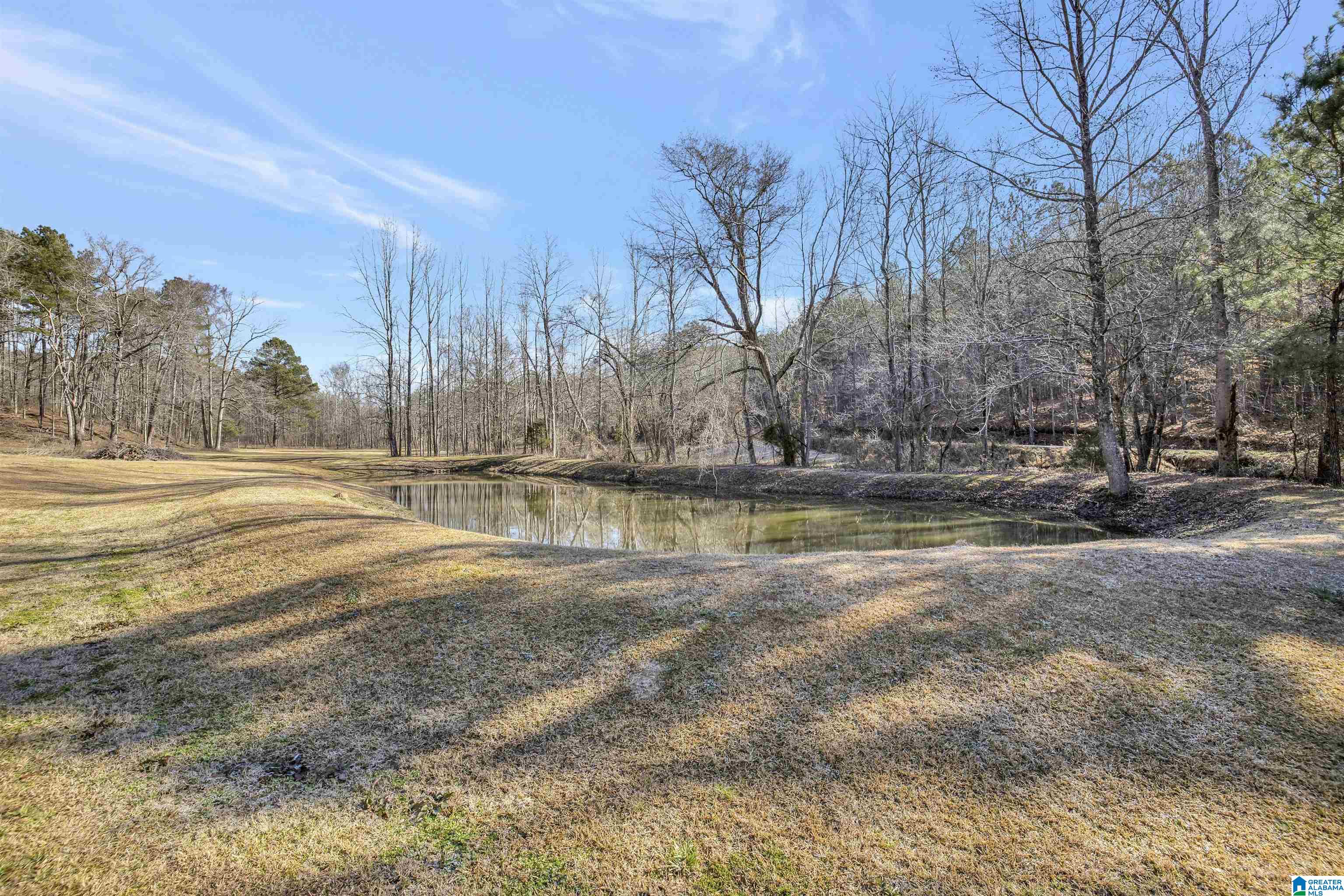 4580 Tucker Mountain Road Remlap, AL 35133 - Photo 5 of 40