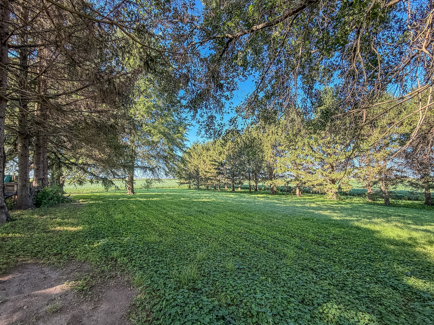 23 East 1500 North Road Cisco, IL 61830 - Photo 69 of 71 Gallery Image 69