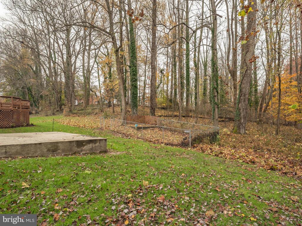5316 Tolson Road Temple Hills, MD 20748 - Photo 9 of 69 View of wooded yard from deck