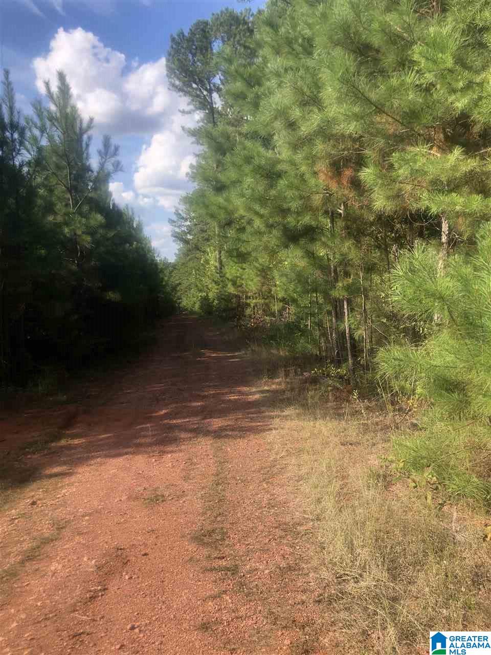 0 Walnut Grove Place, Unit 19 Empire, AL 35063 - Photo 6 of 9