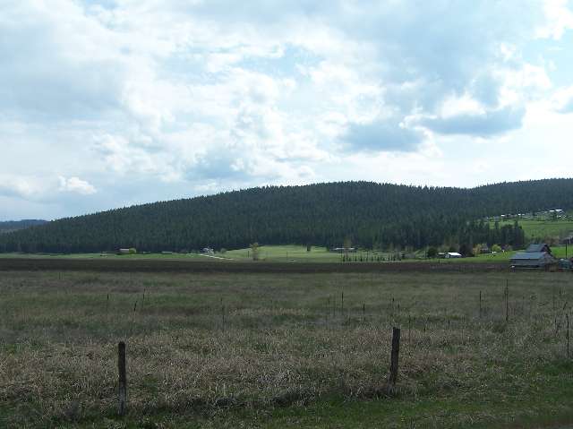 1 Orin-Rice Road Colville, WA 99114 - Photo 1 of 1