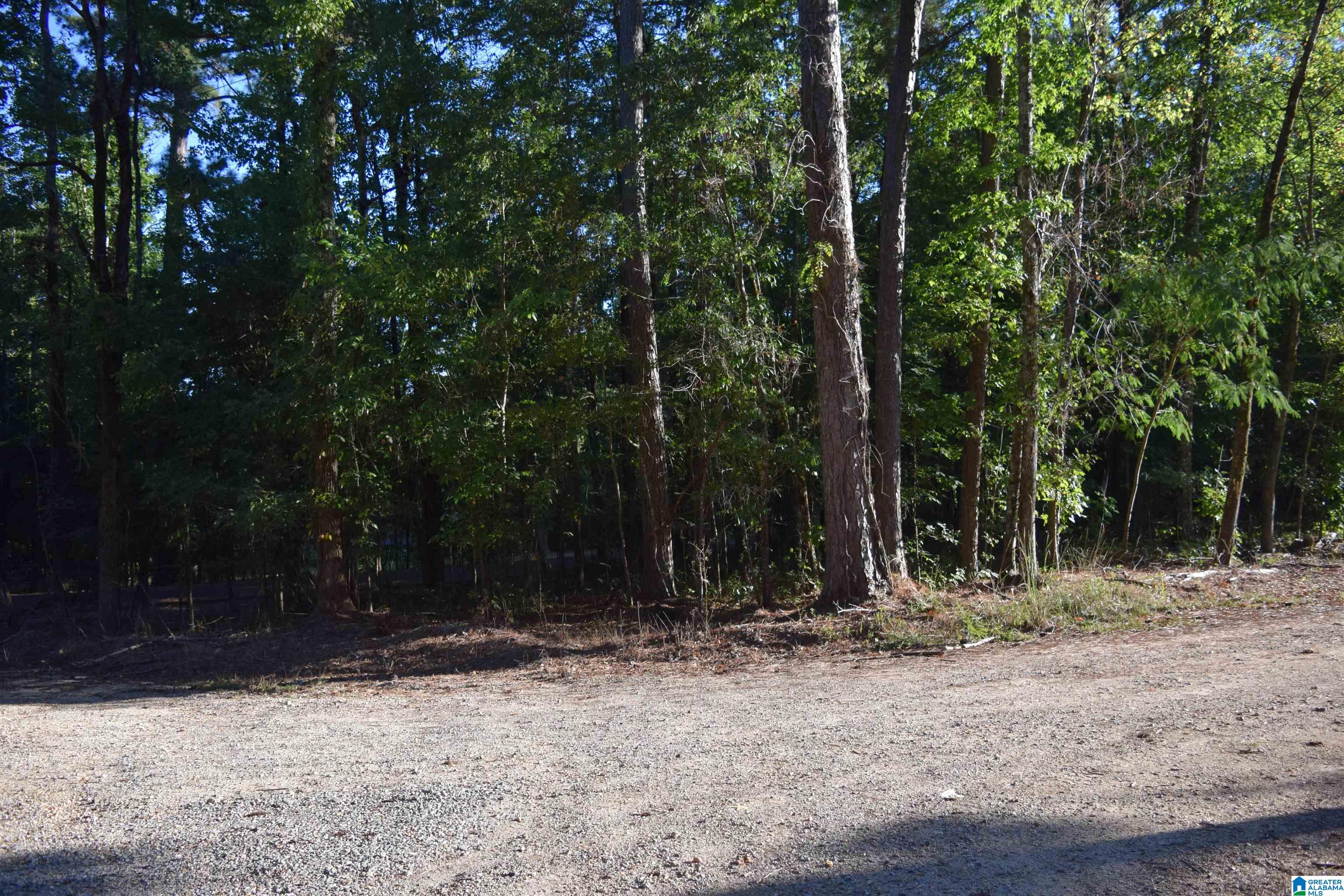 0 Charles Circle, Unit 75 McCalla, AL 35111 - Photo 2 of 6