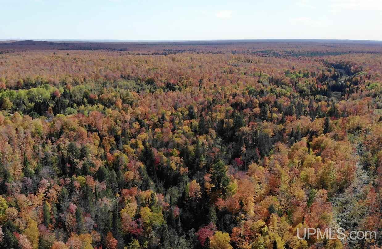 Tbd Winona Road Toivola, MI 49965 - Photo 6 of 23 Gallery Image 6