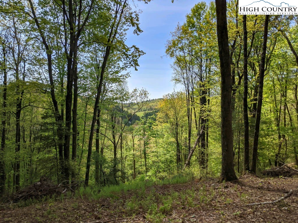 Lot 17 Vista Ridge Road West Jefferson, NC 28694 - Photo 1 of 16 Gallery Image 1