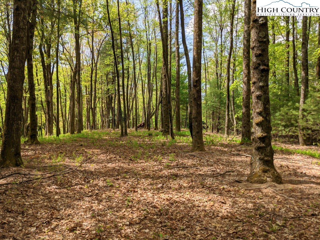Lot 17 Vista Ridge Road West Jefferson, NC 28694 - Photo 12 of 16 Gallery Image 12