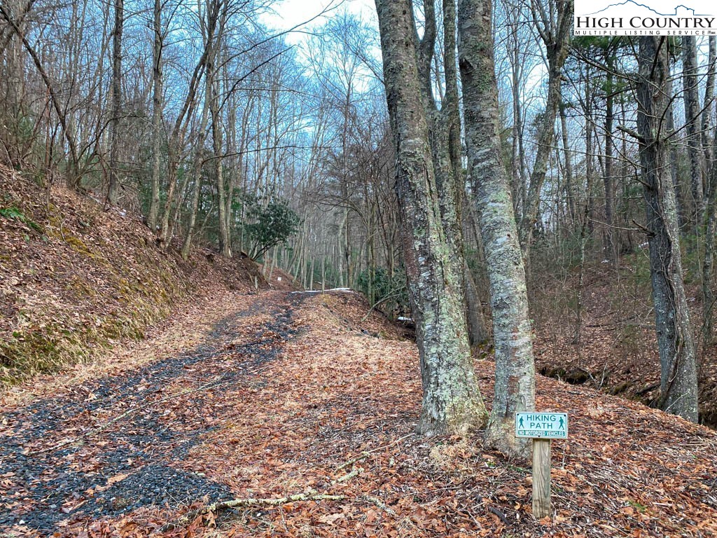 Lot 17 Vista Ridge Road West Jefferson, NC 28694 - Photo 13 of 16 Gallery Image 13