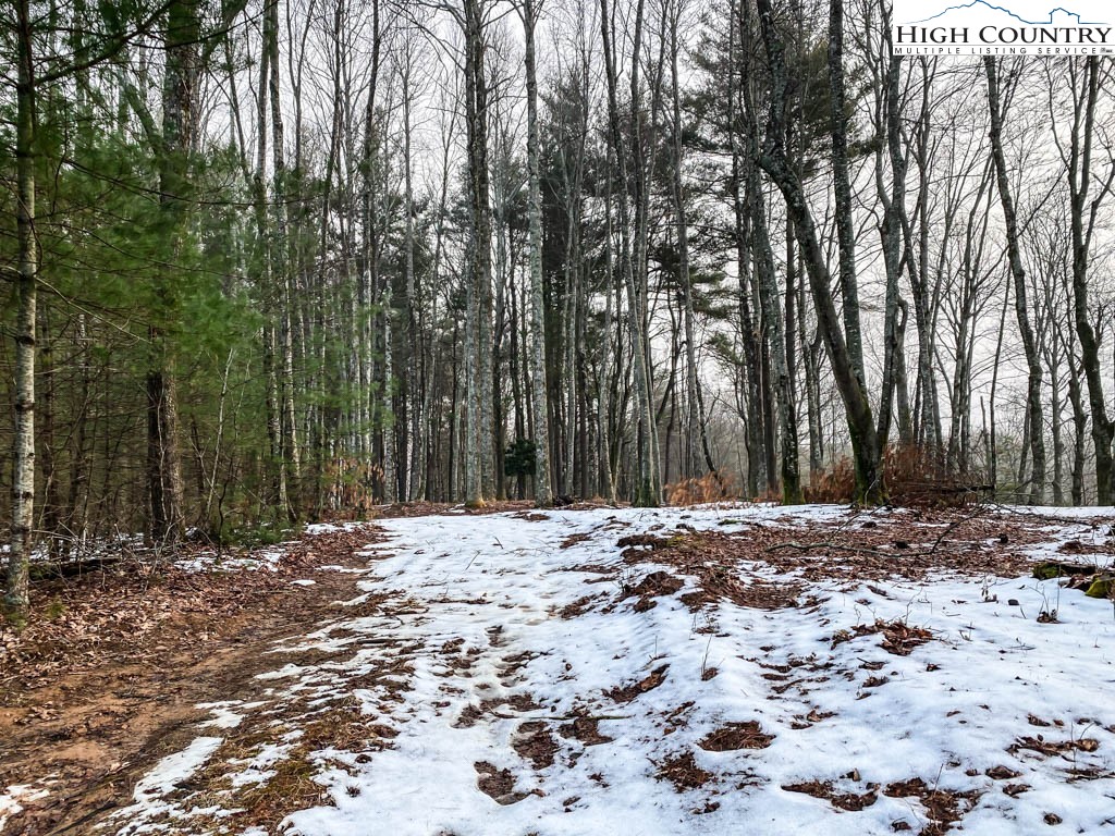 Lot 17 Vista Ridge Road West Jefferson, NC 28694 - Photo 4 of 16 Gallery Image 4