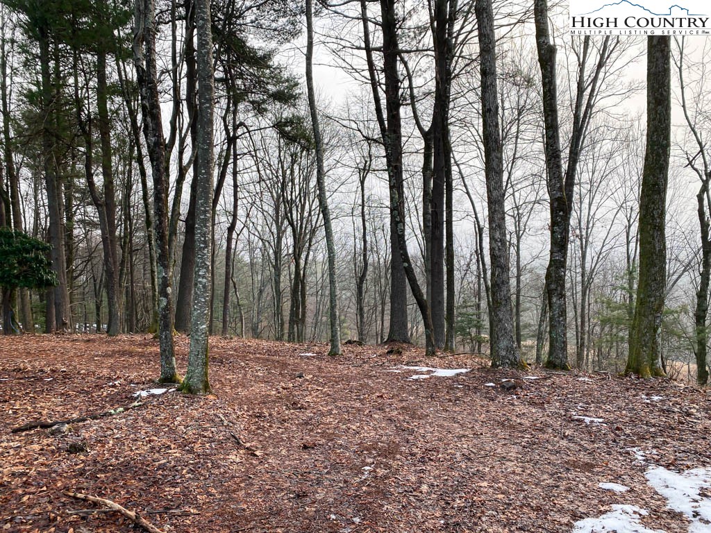 Lot 17 Vista Ridge Road West Jefferson, NC 28694 - Photo 5 of 16 Gallery Image 5
