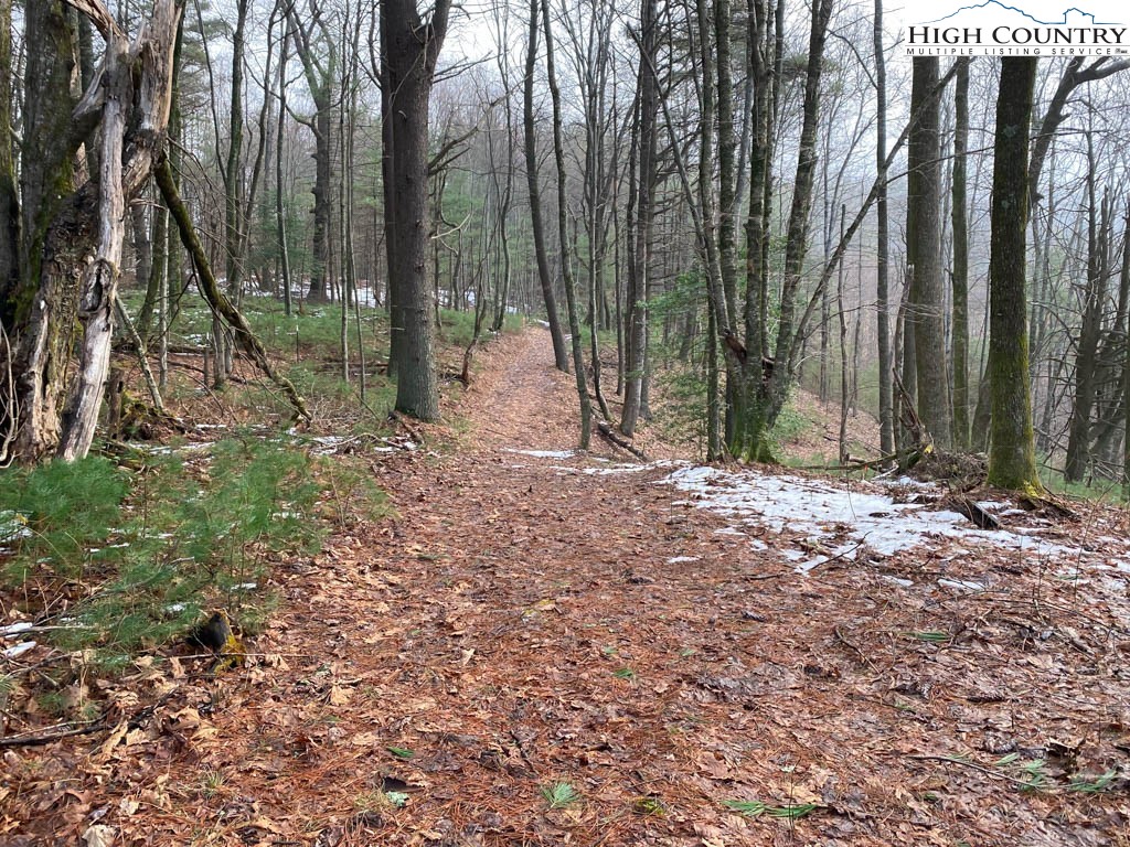 Lot 17 Vista Ridge Road West Jefferson, NC 28694 - Photo 7 of 16 Gallery Image 7