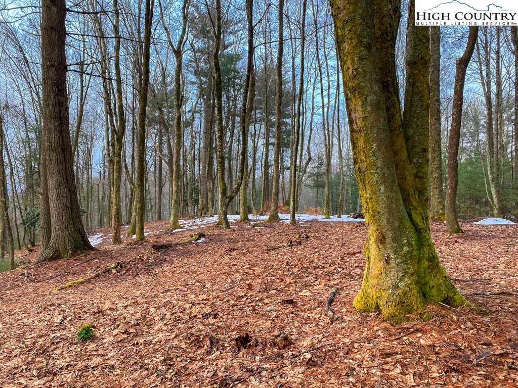 Lot 17 Vista Ridge Road West Jefferson, NC 28694 - Photo 8 of 16 Gallery Image 8
