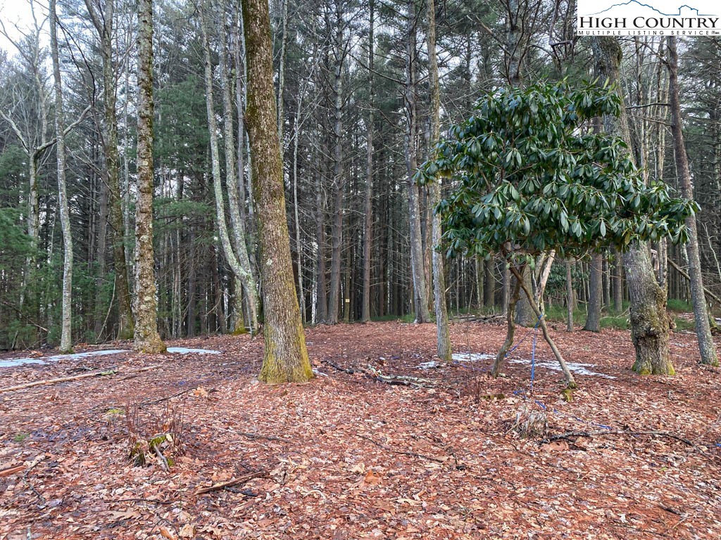 Lot 17 Vista Ridge Road West Jefferson, NC 28694 - Photo 10 of 16 Gallery Image 10