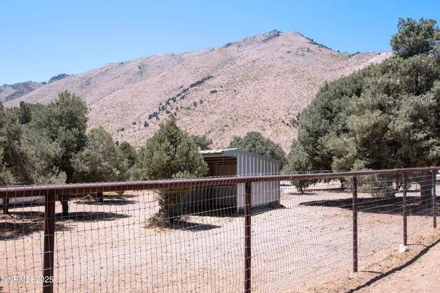 a outdoor view covered with trees