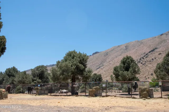 a view of a backyard with a large tree