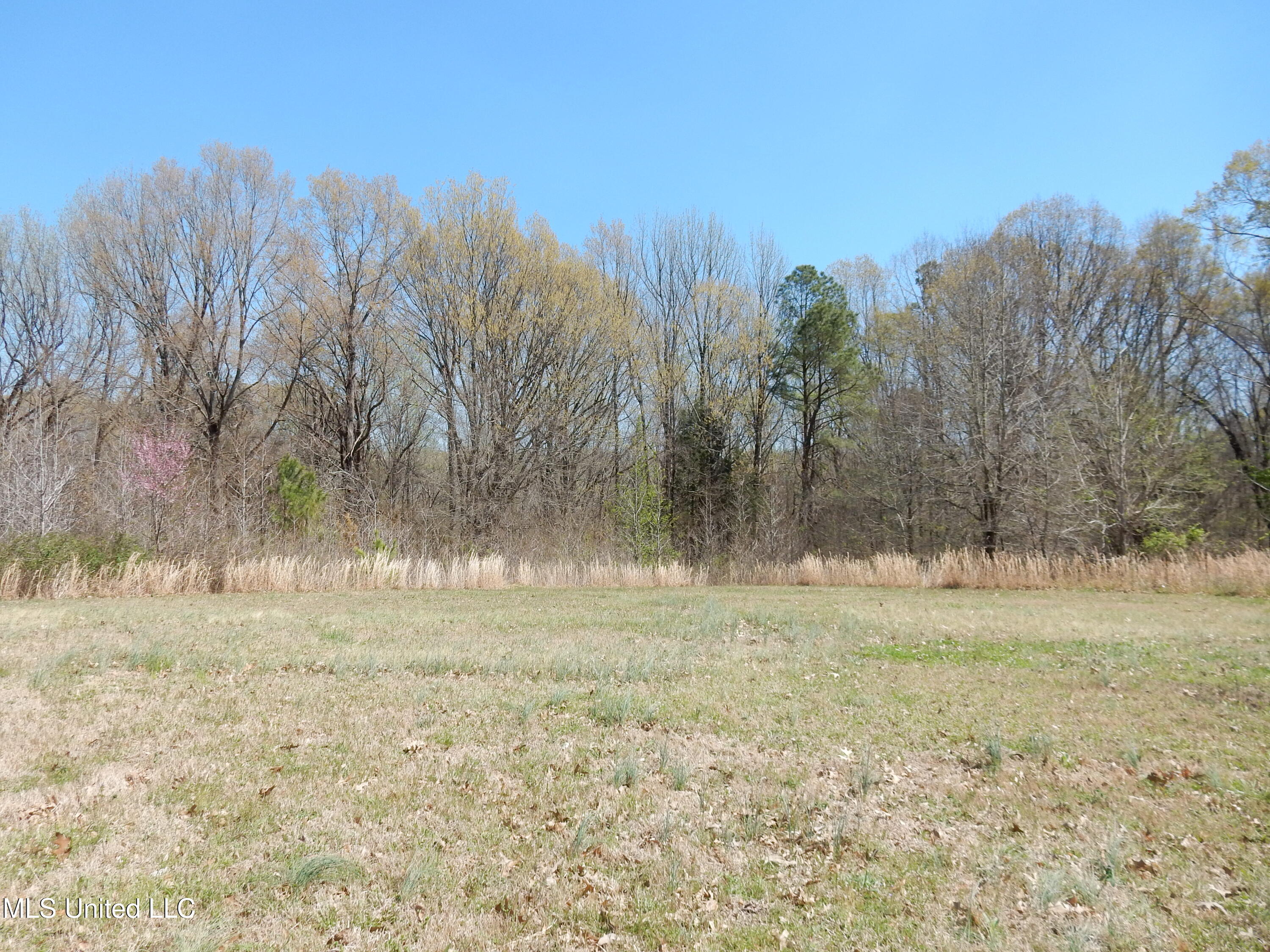 3830 Baldwin Road South Hernando, MS 38632 - Photo 25 of 31 DSCN3139