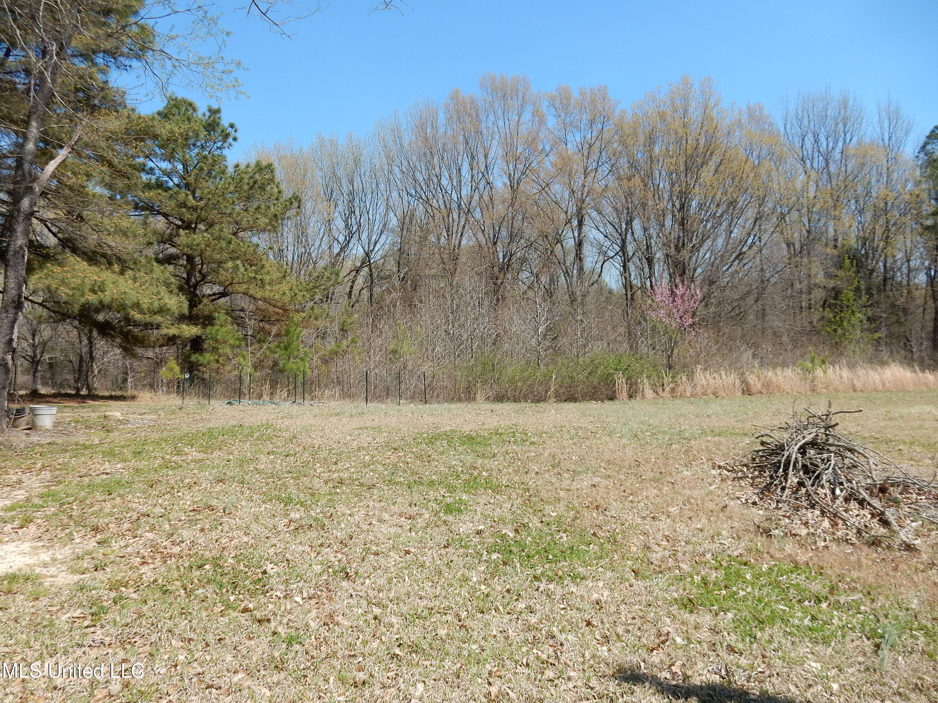 3830 Baldwin Road South Hernando, MS 38632 - Photo 28 of 31 DSCN3141