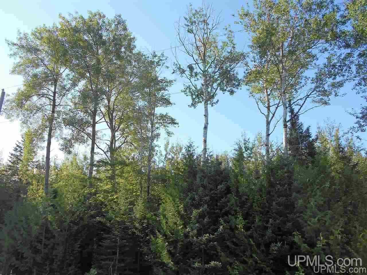 Tbd Lustila Road Germfask, MI 49836 - Photo 20 of 24 Gallery Image 20