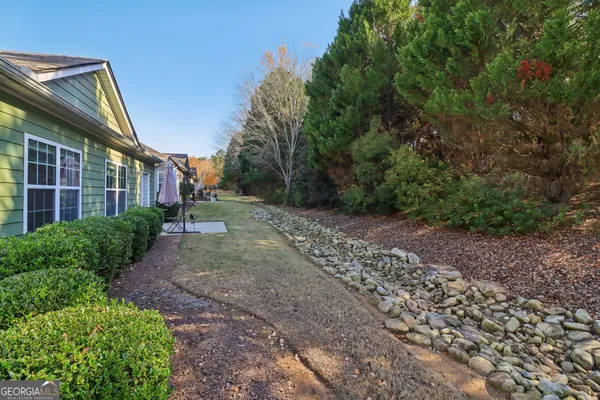 a view of a backyard with plants and large trees