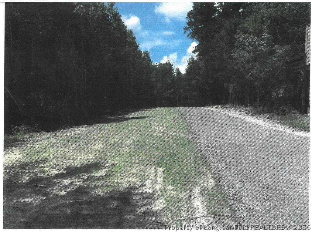 Pumping Station Road Road East Sanford, NC 27330 - Photo 3 of 3 a view of empty room with green space
