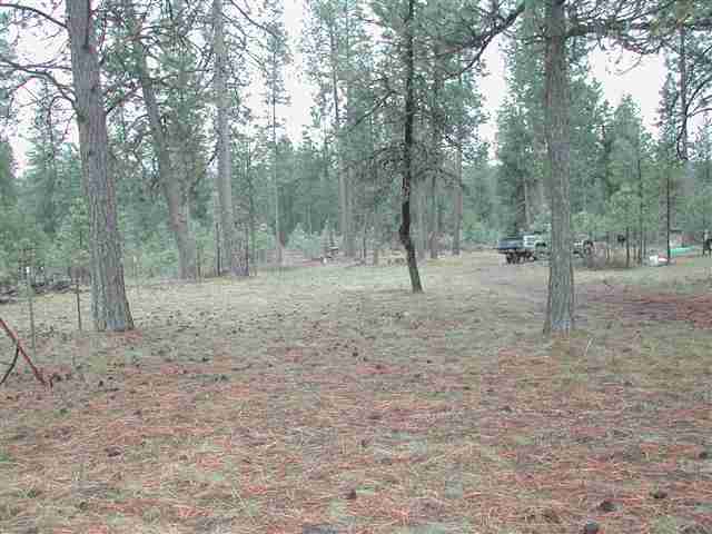 14202 East Nelson Road Elk, WA 99009 - Photo 3 of 9