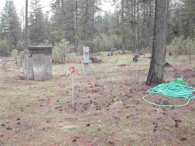 14202 East Nelson Road Elk, WA 99009 - Photo 4 of 9